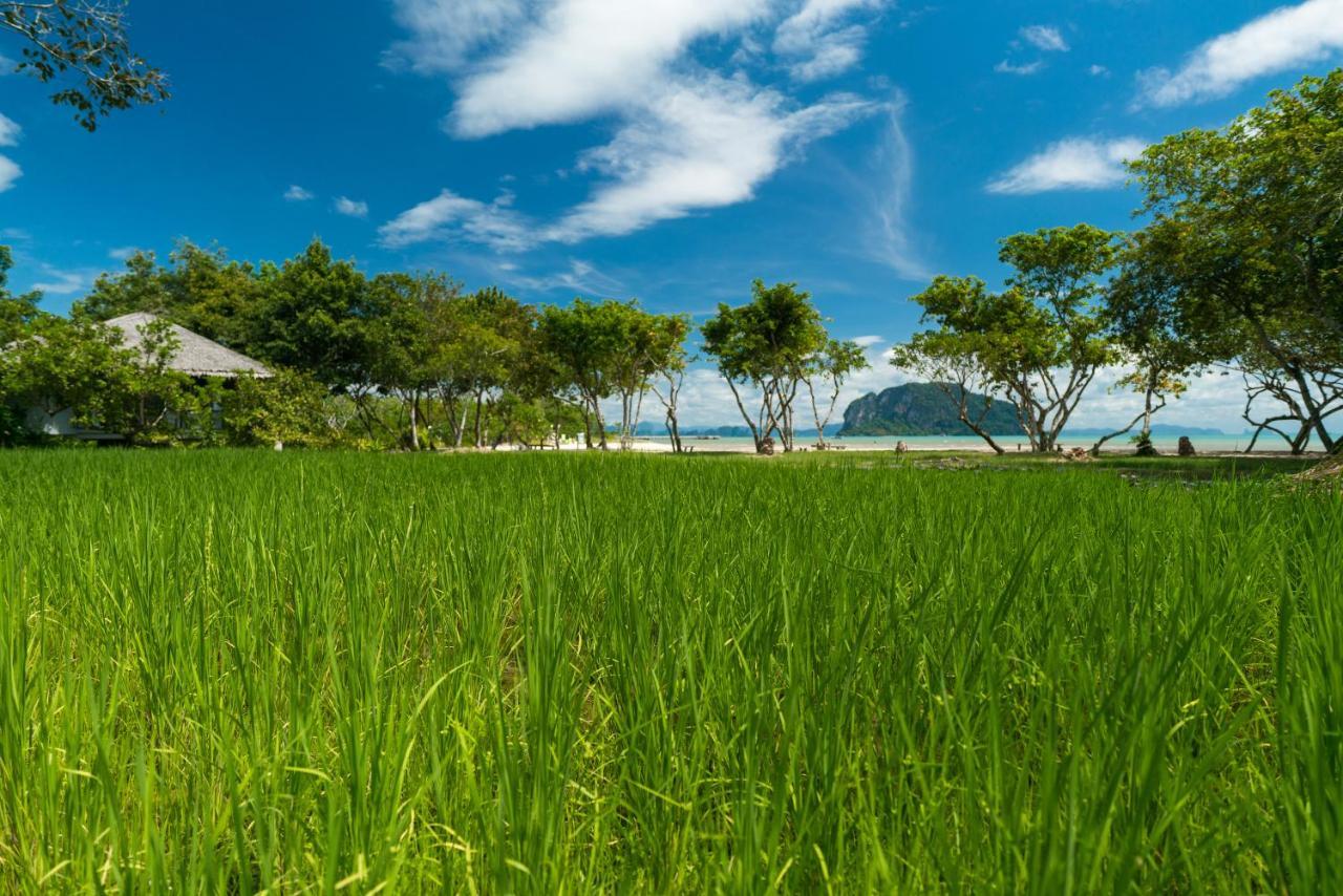 Koh Yao Yai Village Phang Nga Ngoại thất bức ảnh